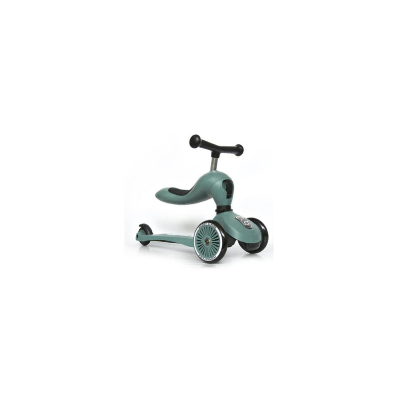 Самокат Scoot&Ride Highwaykick-1 Сіро-зелений (SR-160629-FOREST) купити уить