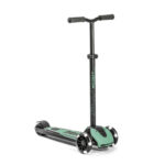 Scoot&Ride Highwaykick 5 LED Forest (SR-190117-FOREST) купити уить